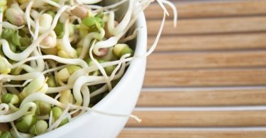 Health Benefits of Bean Sprouts