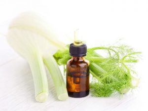 Benefits of Fennel Essential Oil