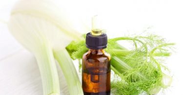 Benefits of Fennel Essential Oil