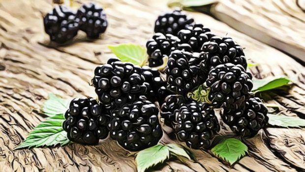 Health Benefits of Blackberry